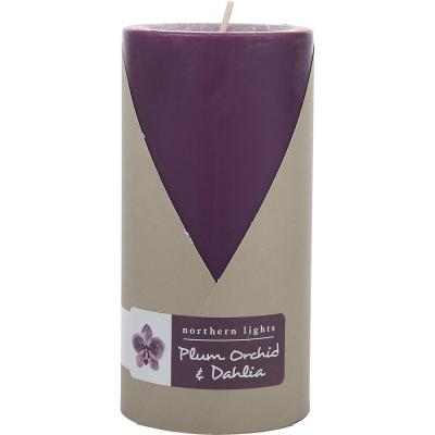 PLUM ORCHID & DAHLIA by Northern Lights