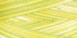 Signature 41 Cotton Variegated Colors 700yd-Sun Lime Splash