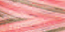 Signature 41 Cotton Variegated Colors 700yd-Canyon Vie