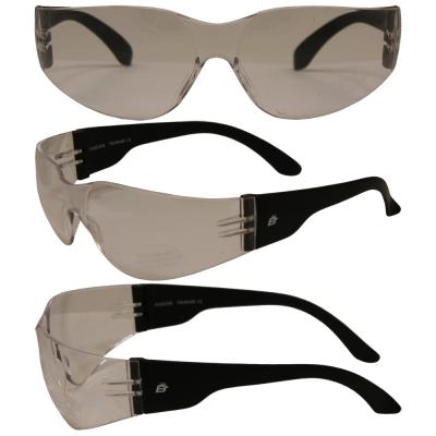 Birdz Pigeon Shop Glasses with Black Frame and Clear Lenses