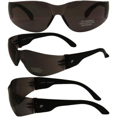 Birdz Pigeon Shop Glasses with Black Frame and Smoke Lenses