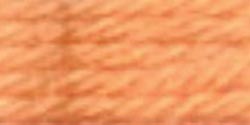 DMC Tapestry & Embroidery Wool 8.8yd-Very Light Red Brown - Case Pack of 10