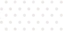 Bazzill Dotted Swiss Cardstock 12'X12'-Salt/Dotted Swiss - Case Pack of 25