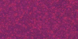 Gallery Glass Window Color 2oz-Cranberry Shimmer