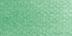 PanPastel Ultra Soft Artist Pastel 9ml-Permanent Green