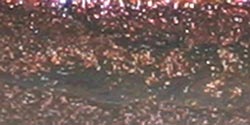 3D Stamp Paint 50ml-Walnut Brown