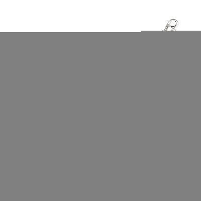 3.0mm 14k White Gold Solid Diamond Cut Rope Chain