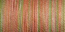 Sulky Blendables Thread 12wt 330yd-Summer Fruit