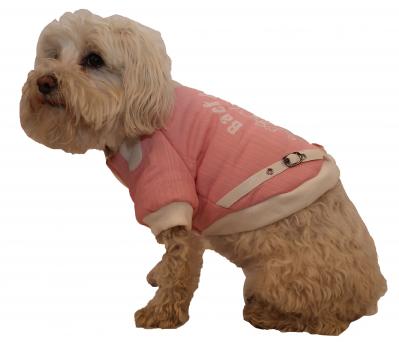 Varsity-Buckled Collared Pet Coat