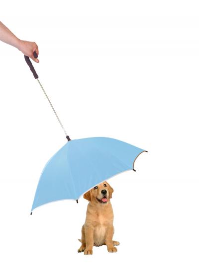 Pour-Protection Umbrella With Reflective Lining And Leash Holder