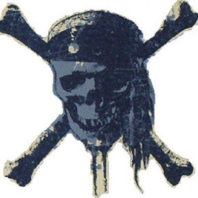 Pirates Carribean Worlds End Skull Large Wall Accent