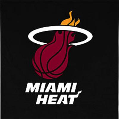 NBA Miami Heat Sidelines Wallhanging
