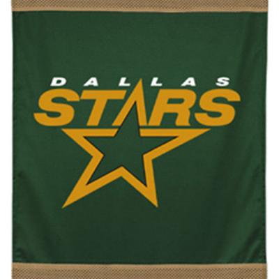 NHL Dallas Stars Hockey Team Logo Wall Hanging Accent