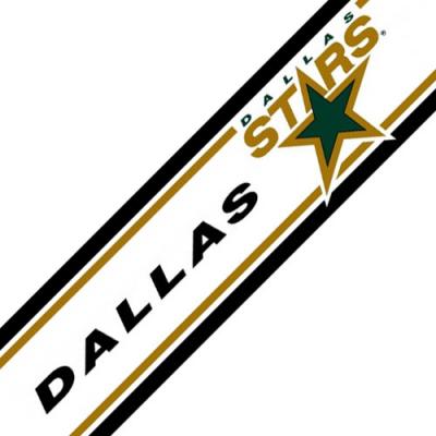 NHL Dallas Stars Prepasted Hockey Wall Border Roll
