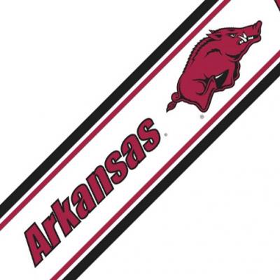 NCAA Arkansas Razorbacks Accent Self-Stick Wall Border