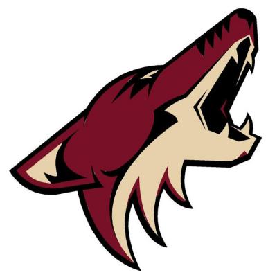 NHL Phoenix Coyotes Wallmarx Hockey Wall Accent Set