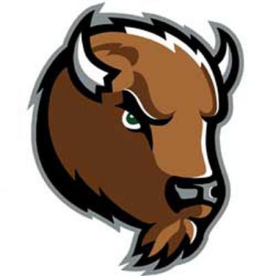 NCAA Marshall Thundering Herd College Logo Wallmarx Accent