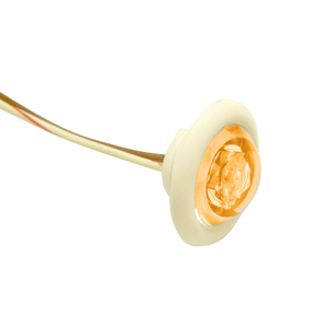 CLOSEOUT - Innovative Lighting 1' Round LED 'Shortie' Livewell/Bulkhead Light - Amber LED/White Grommet