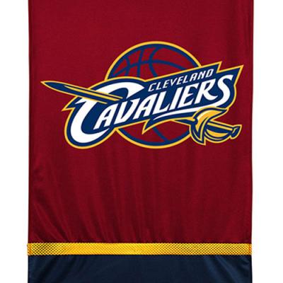 NBA Cleveland Cavaliers Wall Hanging Basketball Accent