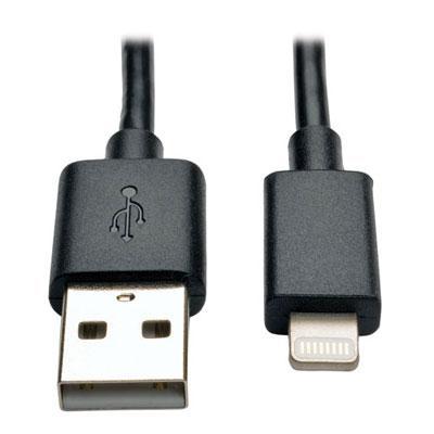 10' Lightning USB Cable Blk