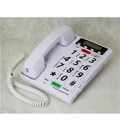 Voice Dialer Phone