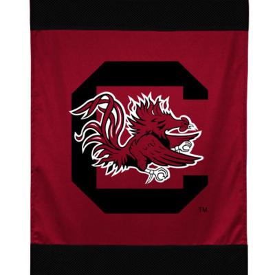 South Carolina Gamecocks Hockey Logo Wall Hanging Accent