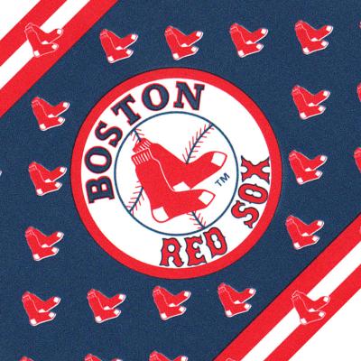 MLB Baseball Boston Red Sox Accent Wallpaper Border Roll