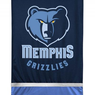 NBA Memphis Grizzlies Wall Hanging Basketball Logo Accent