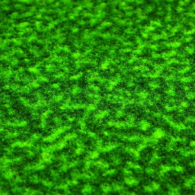 Southern Miss Putting Green Mat 18'x72'