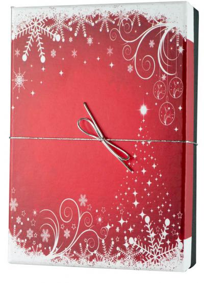 Visol Flask Upgrade with f2 empty - Holiday Essential II Gift Set with Silver elastic Band