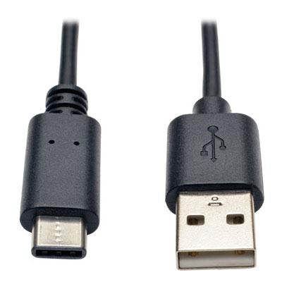 USB Hi Speed Cable A Male 6