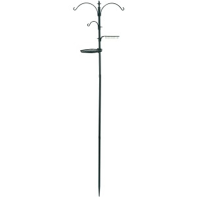 Premium Bird Feeding Kit