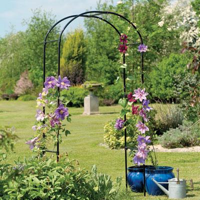 Rose Arch 33' x 63'