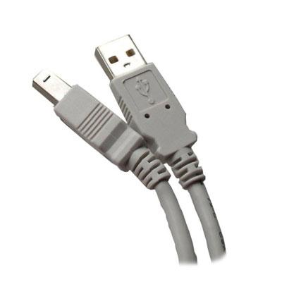 10 USB 2.0 A to B Gray