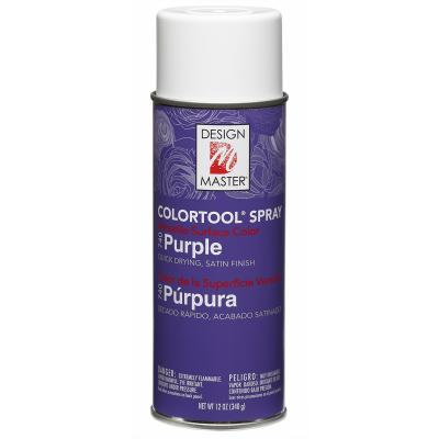 Colortool Spray Paint 12oz-Purple