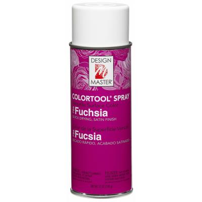 Colortool Spray Paint 12oz-Fuchsia
