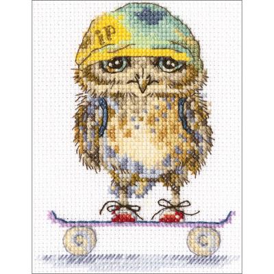 RTO Counted Cross Stitch Kit 4'X6'-Skater (14 Count)