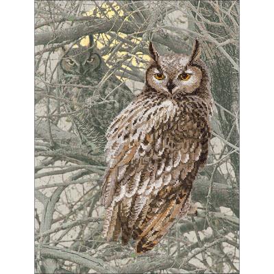 RIOLIS Stamped Cross Stitch Kit 11.75''X15.75''-Eagle Owl (14 Count)
