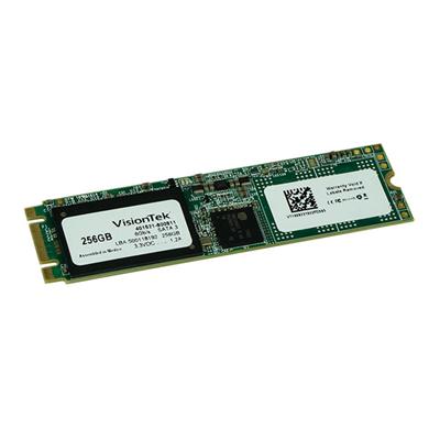 256GB M.2 2280 SATA SSD