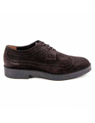 V 1969 Italia Womens Brogue Shoe B1670 VELOUR T. MORO
