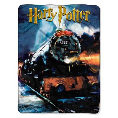 Harry Potter - To Hogwarts Licensed 46'x 60' Micro Raschel Throw  by The Northwest Company