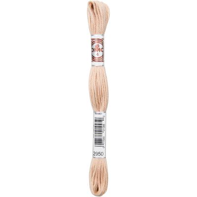 DMC 5-Strand Embroidery Soft Matte Cotton Thread 10.9yd-Light Desert Brown - Case Pack of 12