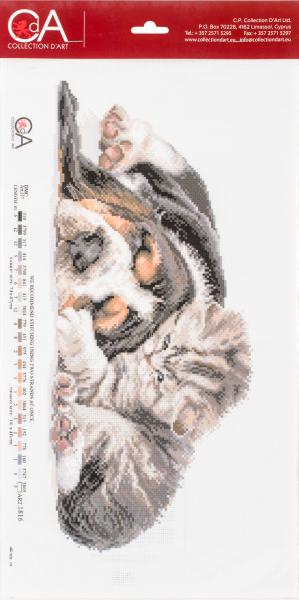Collection DArt Stamped Cross Stitch Kit 24X47cm-Two Friends