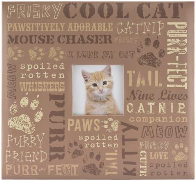 MBI Expressions Post Bound Album W/Window 12'X12'-Cat