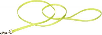 3/8' Single-Ply Nylon 6 Training Dog Leash-Lime