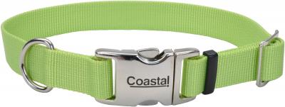 Adjustable Nylon 1' Dog Collar With Titan Metal Buckle-Lime, Neck Size 14'-20'
