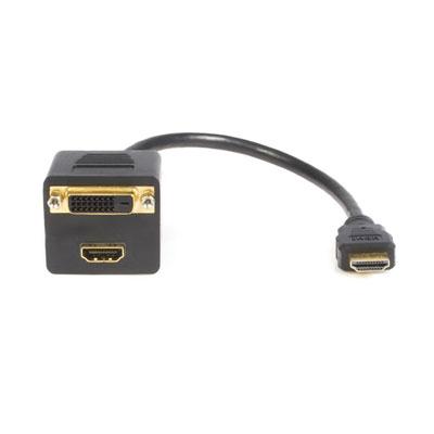 1 HDMI to HDMI & DVID