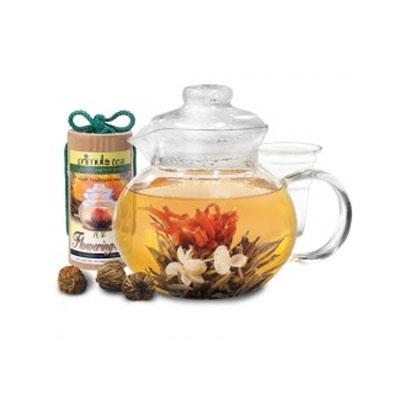 Primula Flowering Tea Pot Set from Epoca | Sold by JOITO's