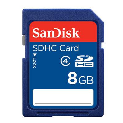 8GB Secure Digital Memory Card