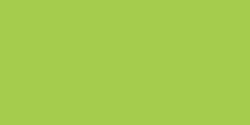Copic Original Markers-Acid Green